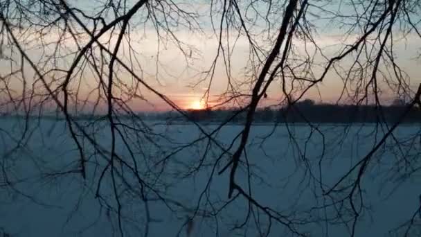 Zonsondergang Boven Bevroren Meer Uitzicht Door Bevroren Boomtak Park Bos — Stockvideo