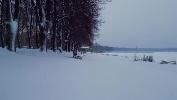 Kaunis Luminen Talvi Julkisessa Puistossa Idyllinen Tuoretta Lunta Jäädytetty Järvi — kuvapankkivideo