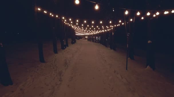 Karlı Kış Parkında Aydınlık Bir Sokak Ormanda Kar Gece Süslü — Stok video
