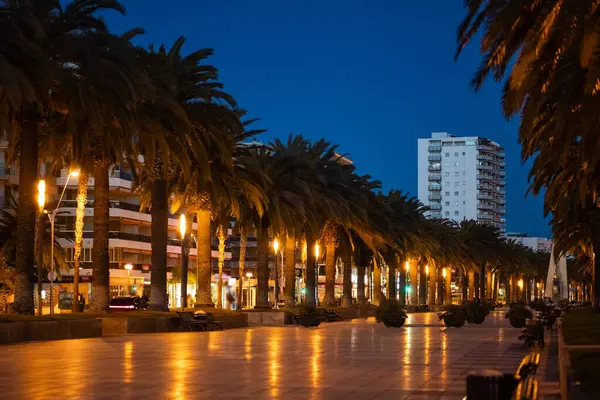 palm tree alley and sunset at beautiful Salou coastal town, tropical city street at evening, Tarragona province, Spain. High quality photo