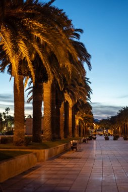 Palmiye ağacı sokağı ve güzel Salou sahil kasabasında gün batımı, akşam tropik şehir caddesi, Tarragona, İspanya. Yüksek kalite fotoğraf