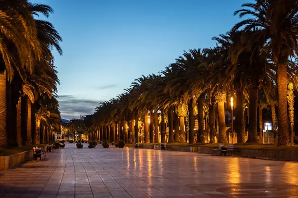 palm tree alley and sunset at beautiful Salou coastal town, tropical city street at evening, Tarragona province, Spain. High quality photo