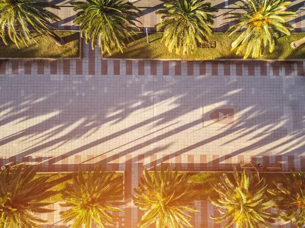 Krásná Ulička Palmami Letecký Výhled Pěší Ulice Při Západu Slunce Stock Obrázky