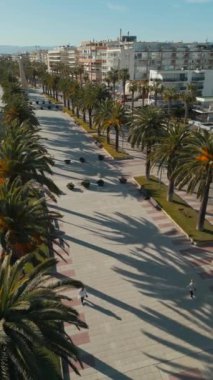 Palmiye ağaçları, hava manzaralı güzel bir ara sokak, gün batımı drone manzaralı yayalar, egzotik tropikal tatil beldesi Salou İspanya 'da gezinti. Yüksek kaliteli dikey video görüntüsü 4k
