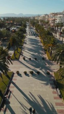 Palmiye ağaçları, hava manzaralı güzel bir ara sokak, gün batımı drone manzaralı yayalar, egzotik tropikal tatil beldesi Salou İspanya 'da gezinti. Yüksek kaliteli dikey video görüntüsü 4k