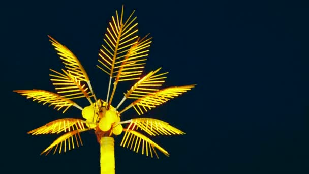 Святкова Лампа Пальмах Вночі Освітлена Творчими Тропічними Деревами Високоякісні Кадри Відеокліп