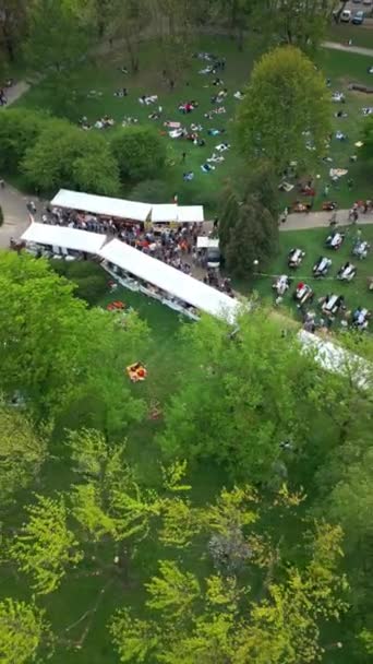Stadt Street Food Festival Veranstaltung Grünen Park Sommer Zelte Des — Stockvideo