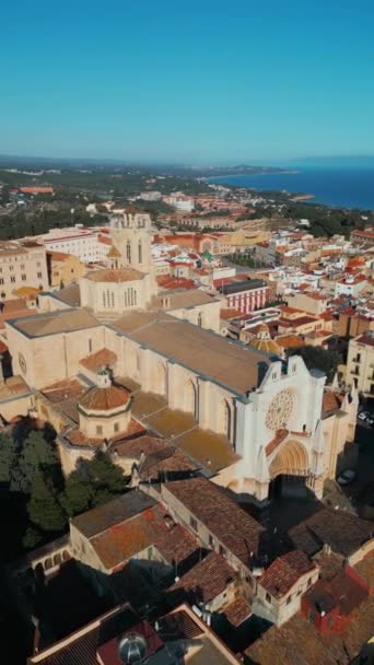 성당과 타라고나 스페인의 건축과 아늑한 드론보기 비디오 고품질 — 비디오