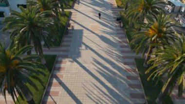 Palmiye ağaçları, hava manzaralı güzel bir ara sokak, gün batımı drone manzaralı yayalar, egzotik tropikal tatil beldesi Salou İspanya 'da gezinti. Yüksek kalite fotoğraf