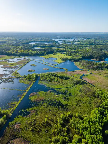 Красивое Искусственное Озеро Зеленом Лесу Безмятежный Пруд Болото Рыболовство Охотничья Стоковое Изображение