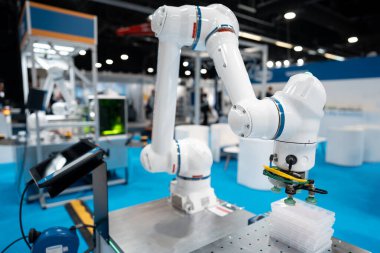 Üretim ve sanayi hattı taşıma bantları, fabrikalar ve teslimat depoları için robot el ekipmanları için otomatik programlanmış robotik kol. Yüksek kalite fotoğraf