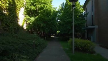 Taştan geçitli güzel, modern yaz bahçesi, banliyölerin arka bahçesi, apartman dairesi, güneş ışınları ve ışık huzmeleri. Yüksek kalite 4k görüntü