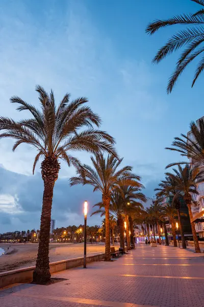 Palmiye ağacı sokağı ve güzel Salou sahil kasabasında gün batımı, akşamları sahilde tropikal gezinti, Tarragona, İspanya. Yüksek kalite fotoğraf