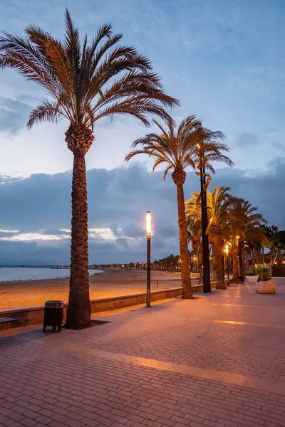 Palmiye ağacı sokağı ve güzel Salou sahil kasabasında gün batımı, akşamları sahilde tropikal gezinti, Tarragona, İspanya. Yüksek kalite fotoğraf