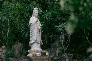 Guanyin 'in sakin mermer heykeli, orman tapınağında sunulan adaklarla, ormanda sunak ve kutsal atmosferle kurulmuş barışçıl Budist kadın figürü. Yüksek kalite fotoğraf