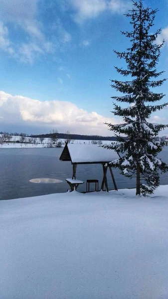 Güzel göl manzarası