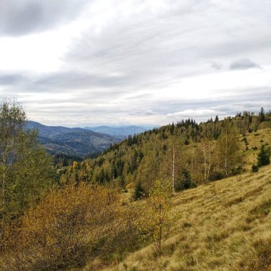 Ağaçlar ve ormanlarla kaplı dağ manzarası