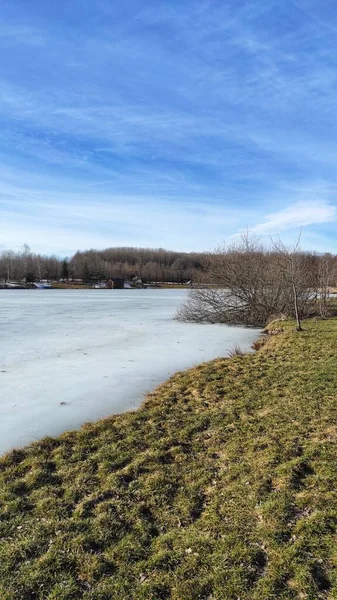 Karla kaplı ağaçlarla kaplı kış manzarası