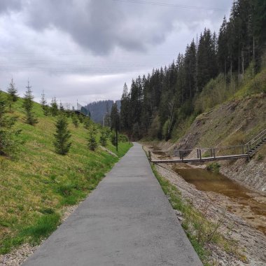 Dağlardaki dağ nehrinin güzel manzarası