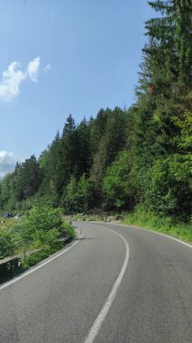 Güneşli bir günde Ukrayna 'daki Karpatlar' ın penceresinden araba manzaralı bir yolculuk.