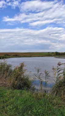 güzel doğanın resimsel manzarası