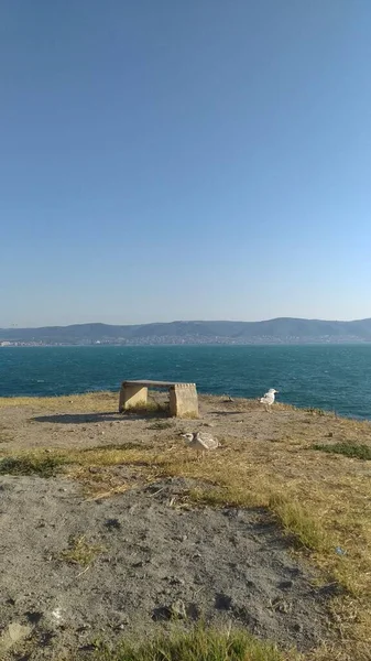 Θέα Από Την Ακτή Προς Θέρετρα Της Βουλγαρίας Παγκάκι Στο — Φωτογραφία Αρχείου