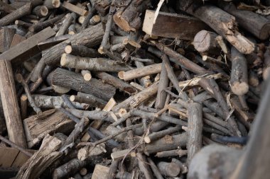 Yakacak odunlarla eve gidiyorum. Ağaçlar kesilerek odun haline getirildi ve şömine ve ocaklarda ısıtma yakıtı olarak kullanılması için oduna dönüştürüldü. Isıtma problemi. Katı yakıt ve ısıtma konsepti.