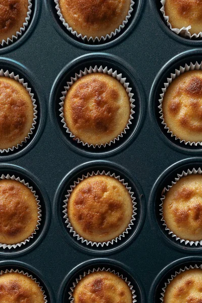 Vista Dall Alto Primi Piani Modelli Gruppo Muffin Zucca Fatti — Foto Stock