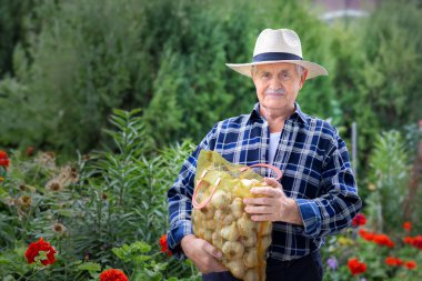 Hasır şapkalı gülümseyen son sınıf öğrencisi bahçesinde büyük bir paket sarımsak sergiliyor. Tarım kavramı. Sonbahar hasadı. Vejetaryen. Dünya Vejetaryen Günü. 
