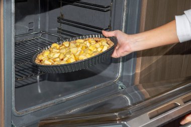 Bir kadının ellerinin tarçınlı elmalı turtayı fırına koyarkenki yakın çekimi. Ev yapımı pişirme konsepti