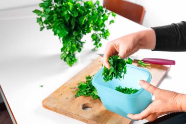 Bir kadın şifalı bitkileri korumak için taze maydanoz depoluyor. Maydanozu kış deposuna hazırlıyorum.