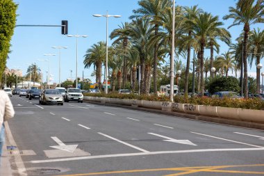 Alicante, İspanya - 9 Mart 2025: Açık bir günde palmiye ağaçlarıyla kaplı işlek şehir caddesi.