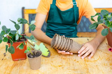 Önlüklü genç bahçıvan elinde biyolojik olarak çözünebilir tohumlar tutuyordu. Çilek ekmeye hazırlanıyordu. Çevre dostu bahçe konsepti