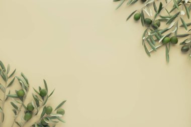 Yumuşak sarı bir zemin üzerinde zeytin dalları ve yeşil zeytinler.