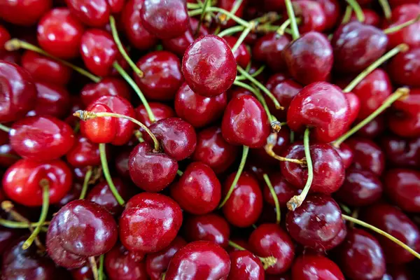 Yeşil saplı olgun, sulu kırmızı kirazlar doğanın cömertliğini ve güzelliğini göstermek için mükemmel renkli ve iştah açıcı bir zemin oluşturur.