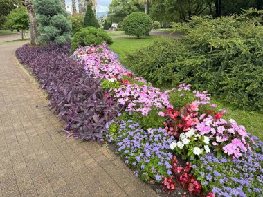 Yazın bakımlı bir parkta kaldırım kenarında açan çeşitli renkli çiçeklerle dolu güzel bir çiçek tarhı canlı ve davetkar bir atmosfer yaratıyor.