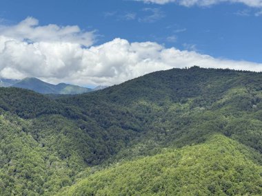 Göz alabildiğince uzanan yuvarlanan yeşil dağların çarpıcı manzarası, canlı mavi bir gökyüzü altında, tüylü beyaz bulutlarla benekli, nefes kesici bir doğal manzara yaratıyor.
