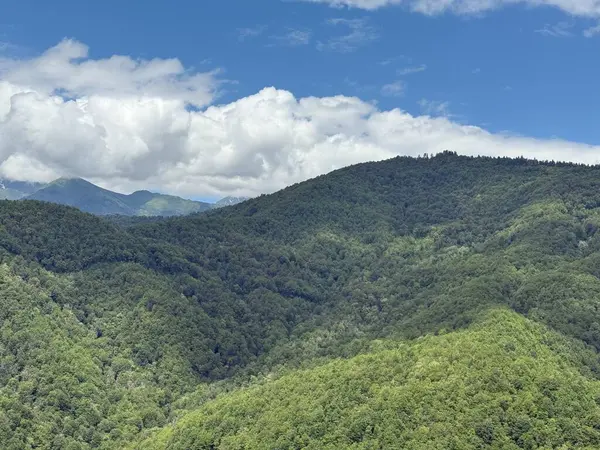 Göz alabildiğince uzanan yuvarlanan yeşil dağların çarpıcı manzarası, canlı mavi bir gökyüzü altında, tüylü beyaz bulutlarla benekli, nefes kesici bir doğal manzara yaratıyor.