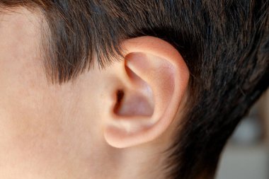 Sağlıklı bir çocuğun kulağının makro fotoğraflanması, dış kulak yapısı ve pürüzsüz deri dokusunun detaylarını vurgulamak, tıbbi ya da eğitim amaçlı olarak uygun.