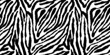 Kusursuz zebra derisi ya da kaplan kürkü deseni. Tek renkli, cesur, siyah beyaz Afrika safari arka plan dokusu. Soyut moda boho şık moda hayvan baskısı kamuflaj motifi