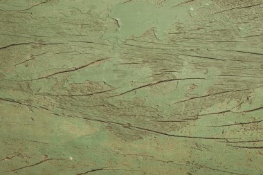 Yeşil Yaşlı Kırsal Orman Arkaplanı