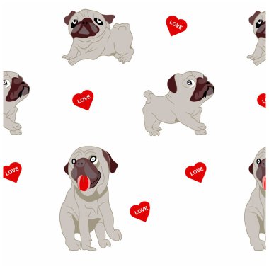 Pug köpeklerinde pürüzsüz desen