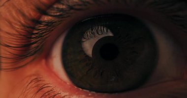 Makro, insan gözünün detaylarını yakından incele. Kahverengi iris büyümemiş göz bebekleri..