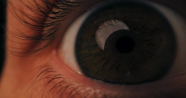 Makro Close Detaljerne Det Menneskelige Øje Brun Iris Udspilede Pupiller – Stock-video