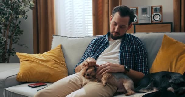 Чоловік Гладить Свого Собаку Дивлячись Останні Новини Телевізору Брюнетка Одягнена — стокове відео