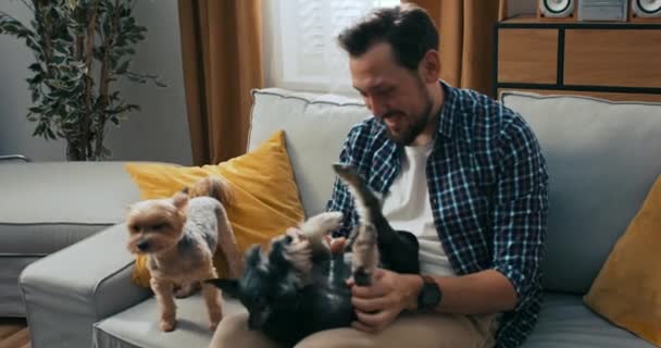 Homem Acaricia Seu Cão Enquanto Últimas Notícias Televisão Morena Está — Vídeo de Stock