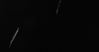 Siyah buruşmuş ve buruşmuş plastikle süslenmiş büyüleyici bir arkaplan dokusu keşfedin. Her türlü tasarıma entrika ve derinlik katan görsel olarak çarpıcı bir tuval oluşturun..