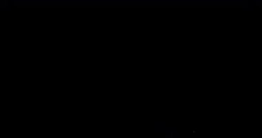 Görüntüler sinematik cazibe çağına giriyorlar. Karmaşık bir şekilde tasarlanmış video arka plan, tahıl, hassas toz parçacıkları ve gerçek mercek parlamaları içeren imzalı film dokusuyla övünüyor..