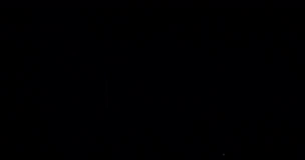 Винтажная Текстура Пленки Зерном Пылью Оттенком Настоящей Блики Объектива Идеально — стоковое видео