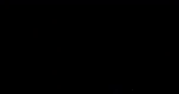 繊細で繊細な粉塵粒子を特徴とするシグネチャーフィルムテクスチャを誇る映画の時代のビジュアルと本物のレンズフレア — ストック動画